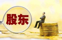 [荐读]从七个破产案看股东劣后债权的种类与认定